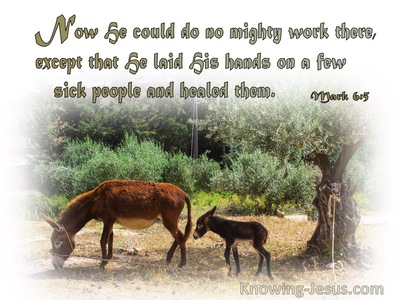 Mark 6:5 He Could Do No Miracle There (sage)